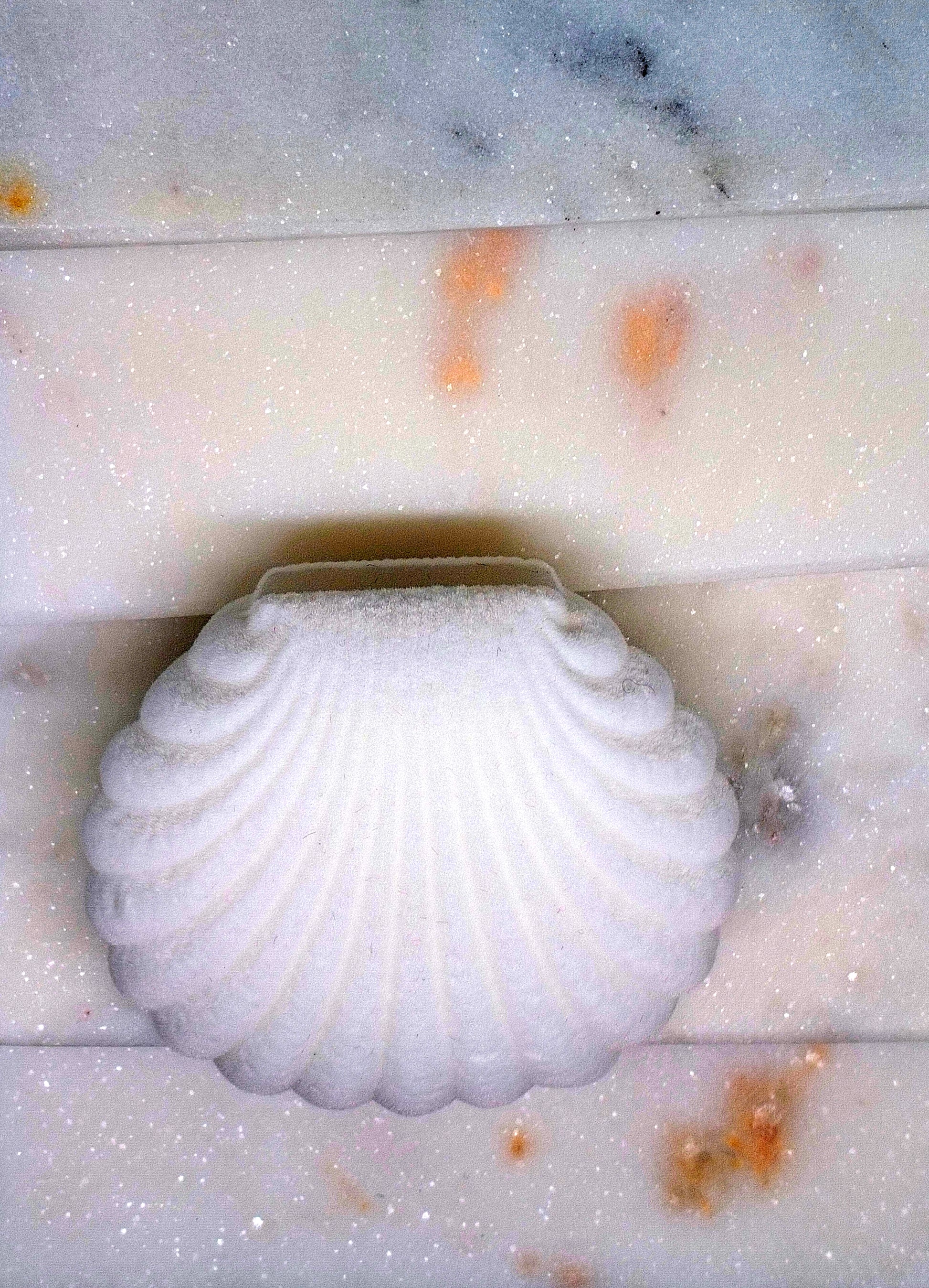 Ecrin Coquillage