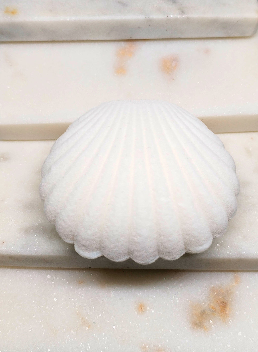 Ecrin Coquillage