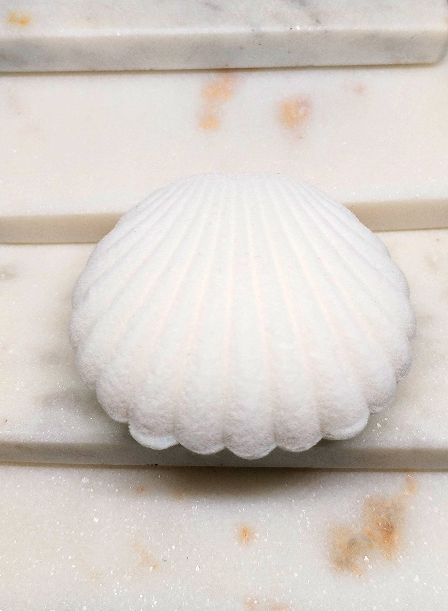 Ecrin Coquillage